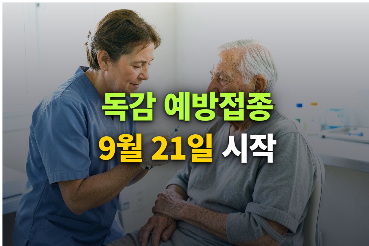 독감 예방접종 시기와 무료 대상, 대상별 접종 시작일을 정리한 대표 이미지