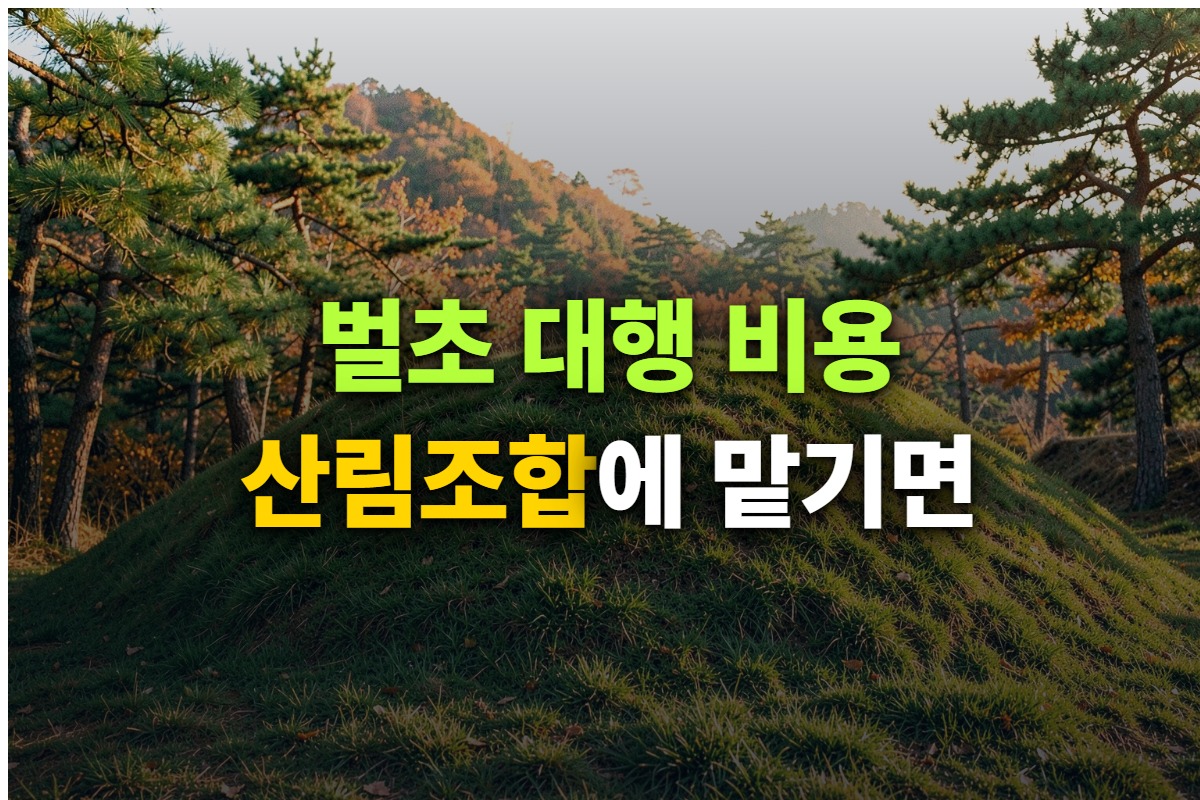 벌초 대행 비용과 산림조합 신청 방법, 벌초 적기를 정리한 대표 이미지