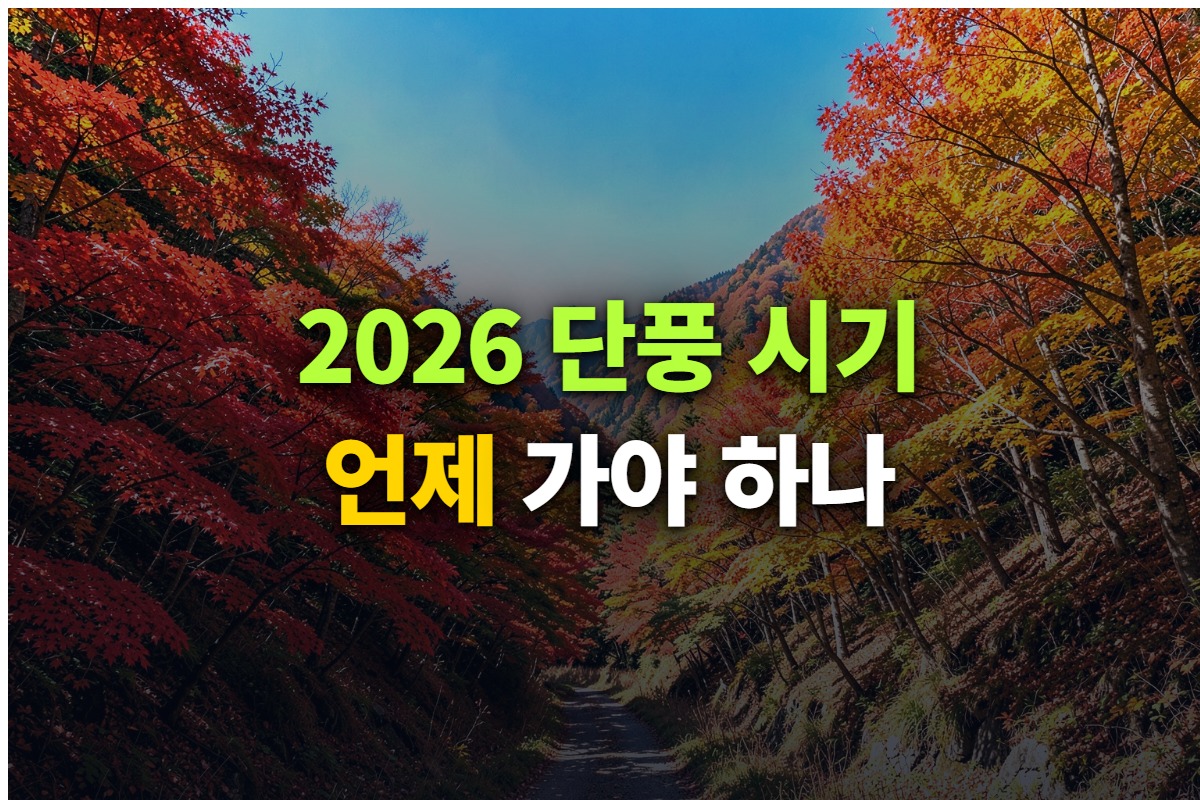 2026년 단풍 시기와 명소를 정리한 대표 이미지