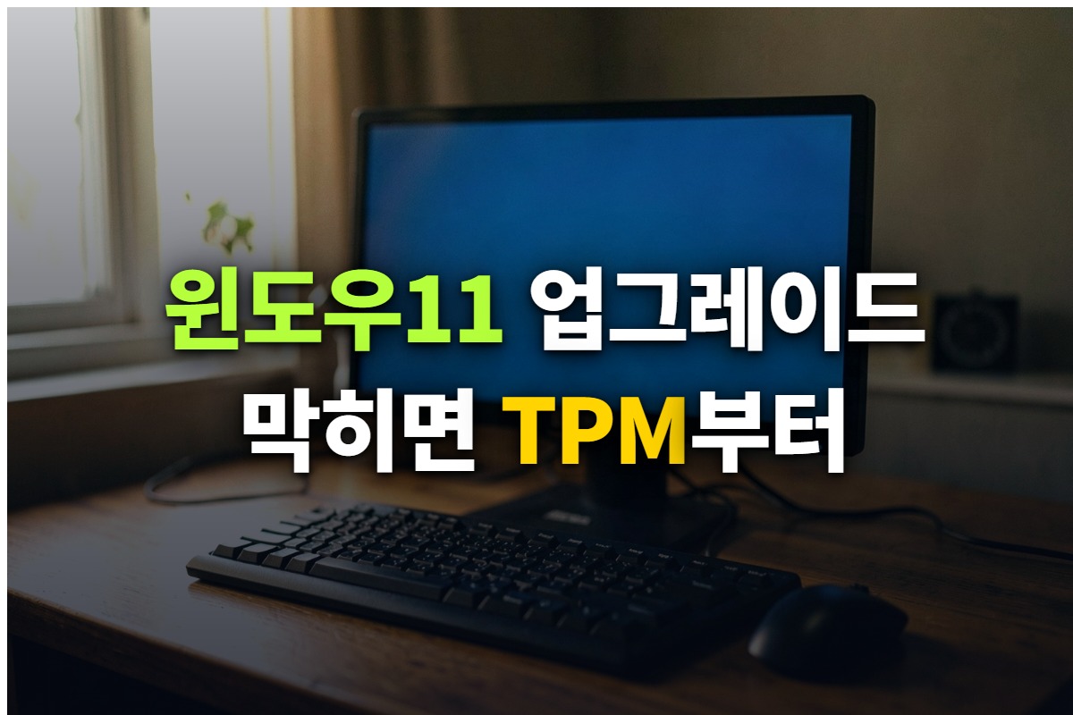 윈도우11 업그레이드 조건과 방법을 정리한 대표 이미지